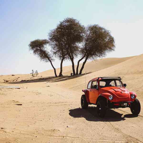 Volkswagen Baja, 1969